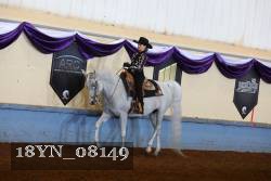 18YN_08149 thumbnail