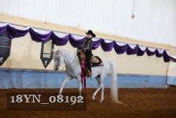 18YN_08192 thumbnail
