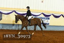18YN_30973 thumbnail