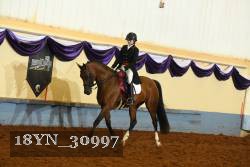 18YN_30997 thumbnail