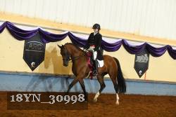 18YN_30998 thumbnail
