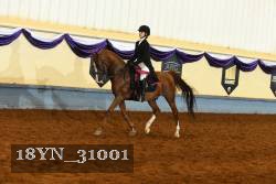 18YN_31001 thumbnail
