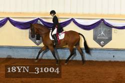 18YN_31004 thumbnail