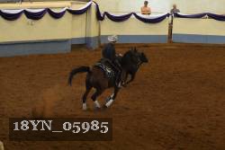 18YN_05985 thumbnail