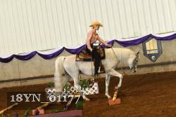 18YN_01177 thumbnail