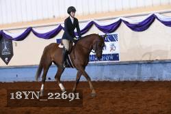 18YN_22691 thumbnail