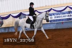 18YN_22768 thumbnail