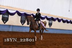 18YN_22801 thumbnail