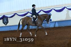 18YN_31059 thumbnail
