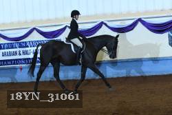 18YN_31061 thumbnail