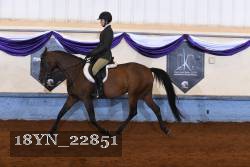 18YN_22851 thumbnail