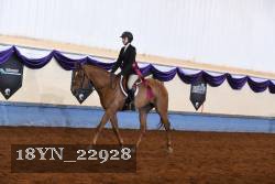 18YN_22928 thumbnail