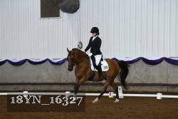 18YN_16327 thumbnail