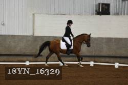 18YN_16329 thumbnail