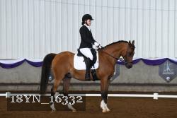 18YN_16332 thumbnail