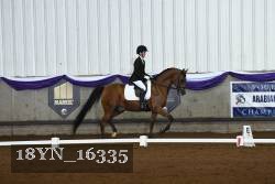 18YN_16335 thumbnail