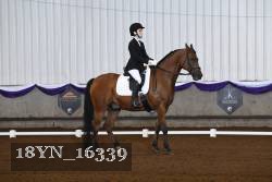 18YN_16339 thumbnail