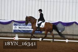18YN_16341 thumbnail