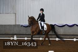 18YN_16343 thumbnail