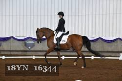 18YN_16344 thumbnail