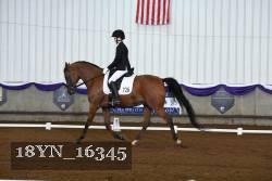 18YN_16345 thumbnail