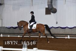 18YN_16346 thumbnail