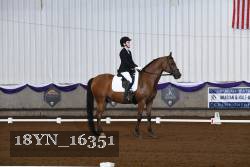 18YN_16351 thumbnail
