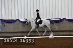 18YN_16353 thumbnail