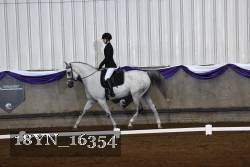 18YN_16354 thumbnail