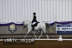 18YN_16356 thumbnail