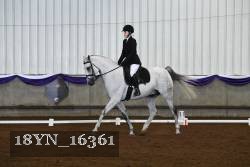 18YN_16361 thumbnail