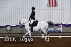 18YN_16362 thumbnail