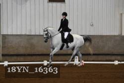 18YN_16363 thumbnail