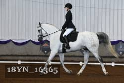 18YN_16365 thumbnail