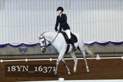 18YN_16371 thumbnail