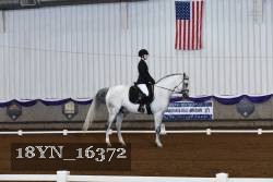 18YN_16372 thumbnail