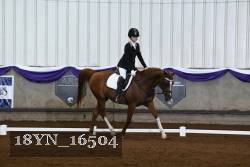 18YN_16504 thumbnail