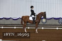 18YN_16505 thumbnail