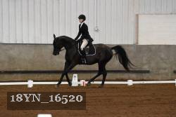 18YN_16520 thumbnail