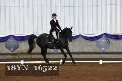 18YN_16522 thumbnail