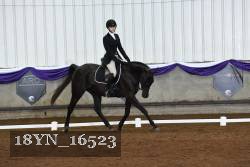 18YN_16523 thumbnail