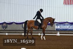 18YN_16529 thumbnail