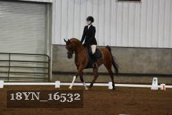 18YN_16532 thumbnail