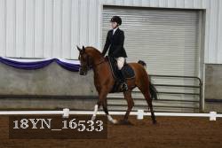 18YN_16533 thumbnail