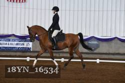 18YN_16534 thumbnail