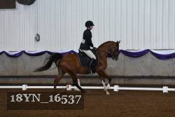 18YN_16537 thumbnail