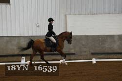 18YN_16539 thumbnail