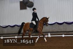 18YN_16541 thumbnail