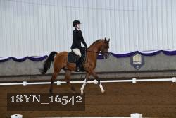 18YN_16542 thumbnail