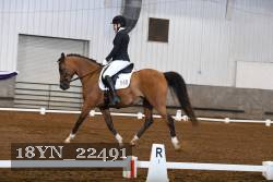 18YN_22491 thumbnail